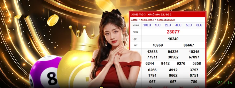 Apostas de Futebol 204win